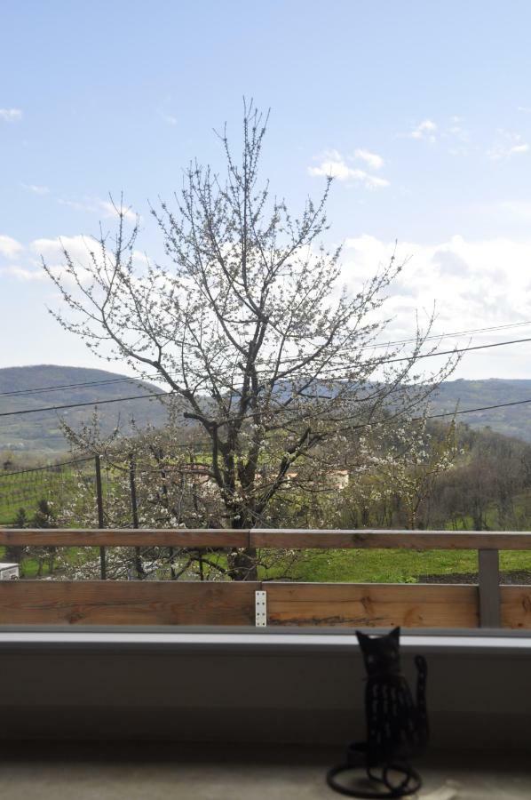 Apartma Bajci Ajdovscina Exterior photo