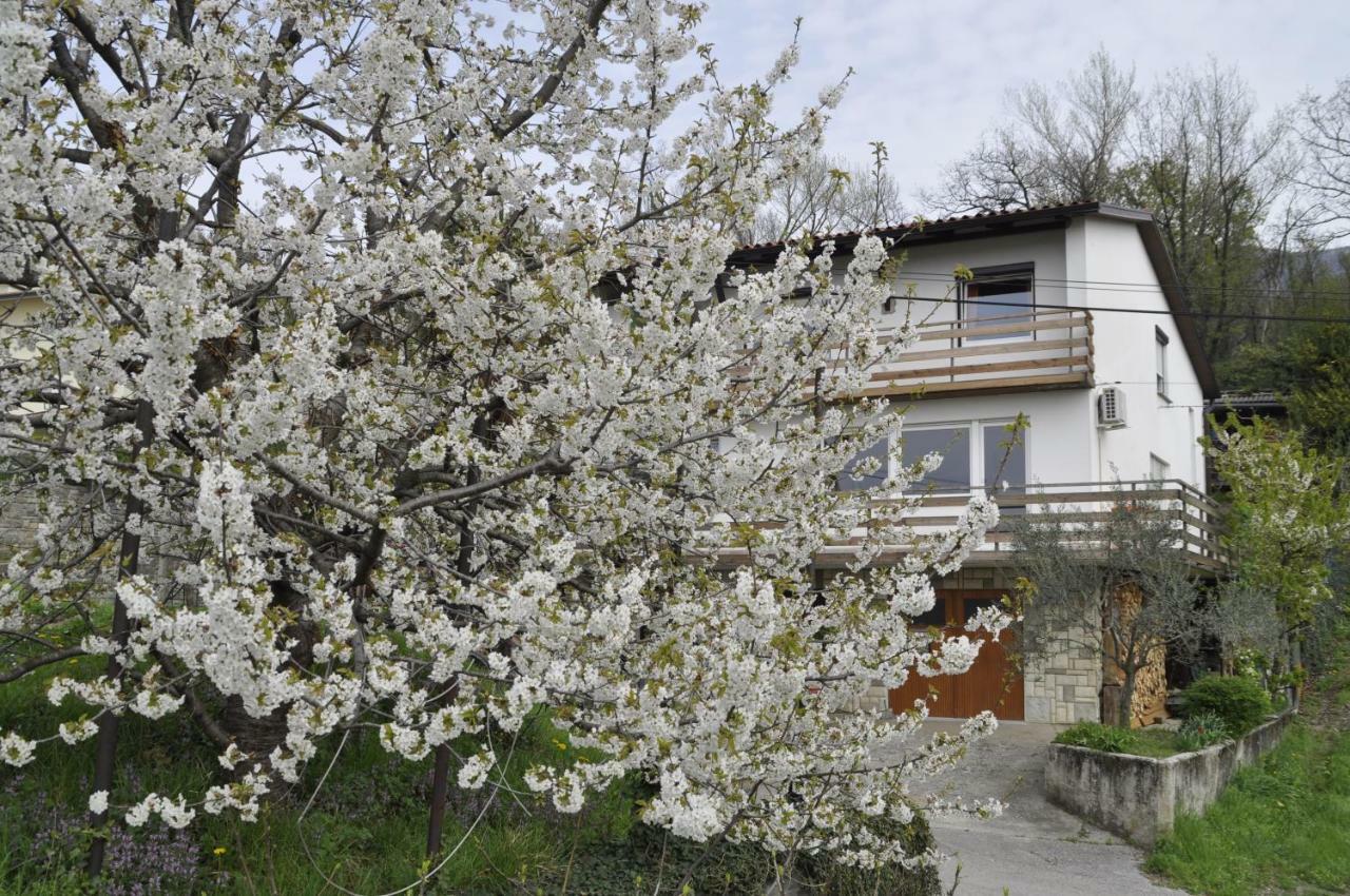 Apartma Bajci Ajdovscina Exterior photo