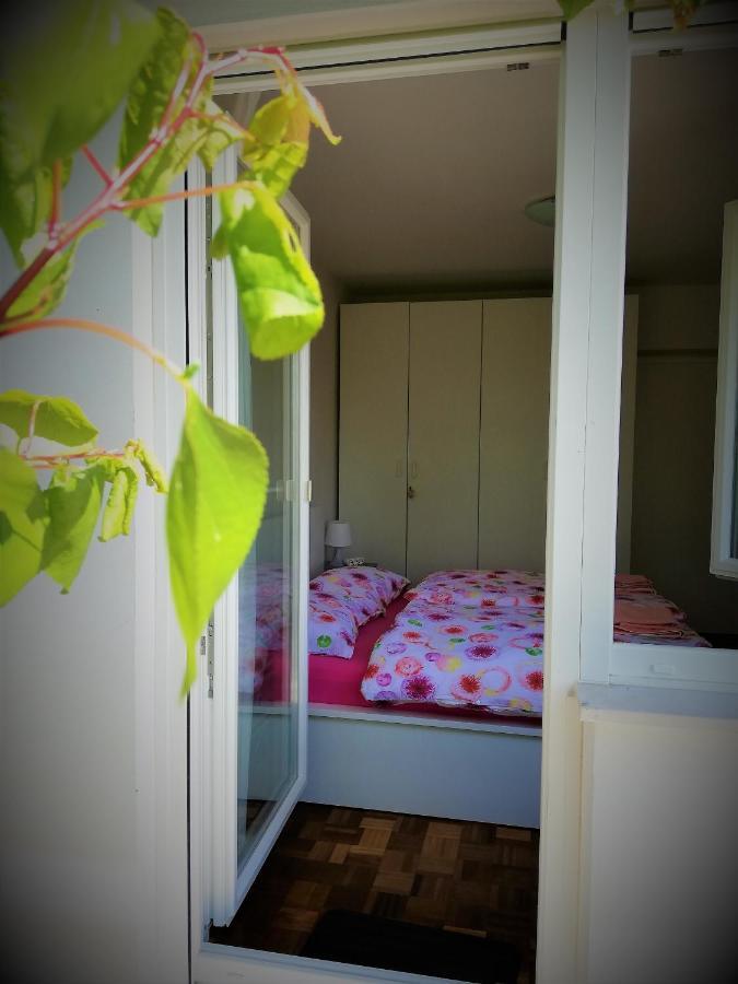 Apartma Bajci Ajdovscina Exterior photo